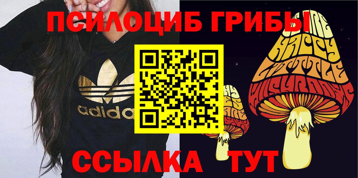 Рассказово  купить   Вход с VPN  Галлюциногенные грибы Cubensis 